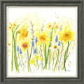 Spring Blooms