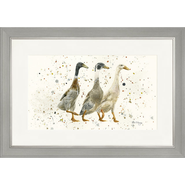 The Three Duckgrees
