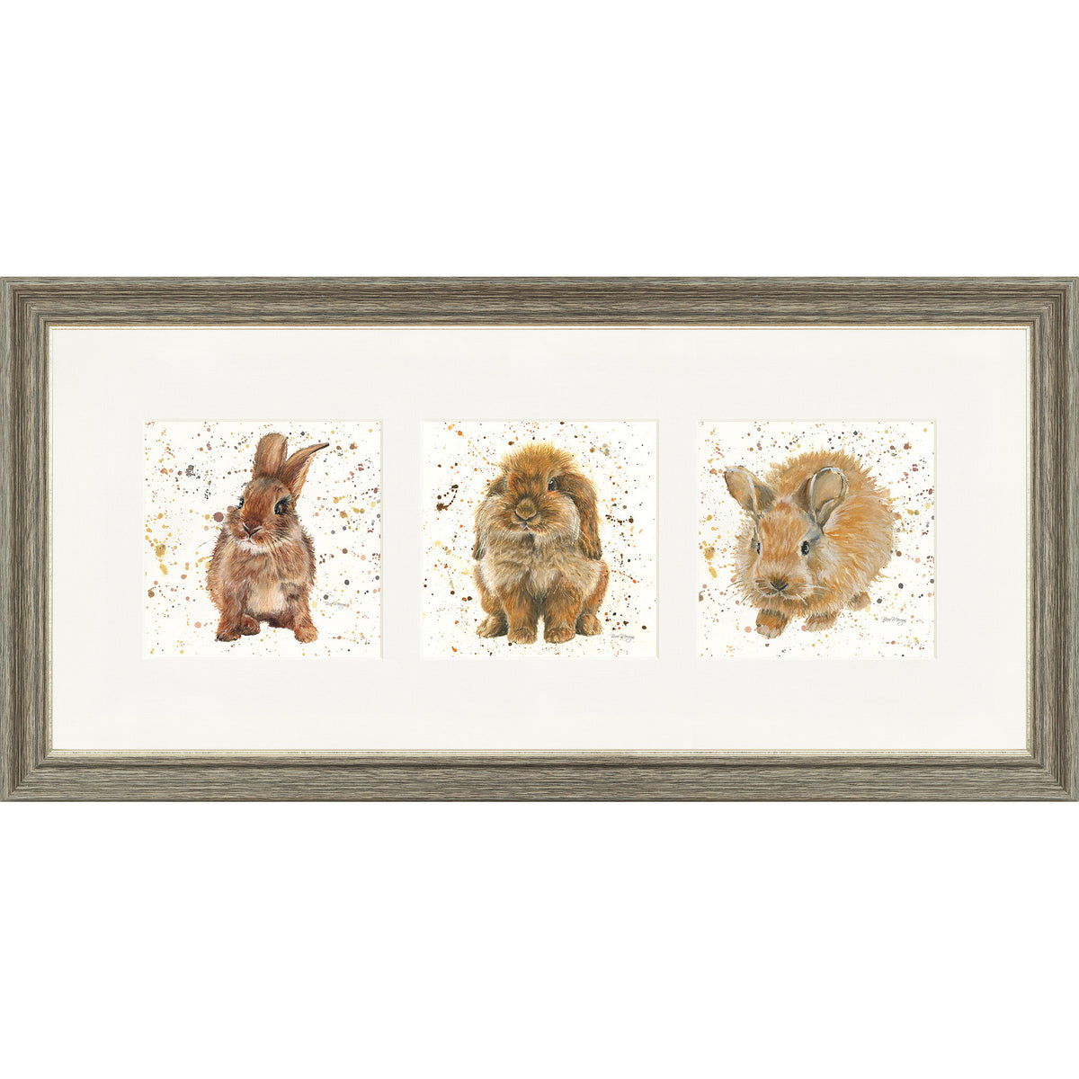 The Bunnies