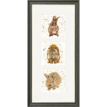 Load image into Gallery viewer, The Bunnies
