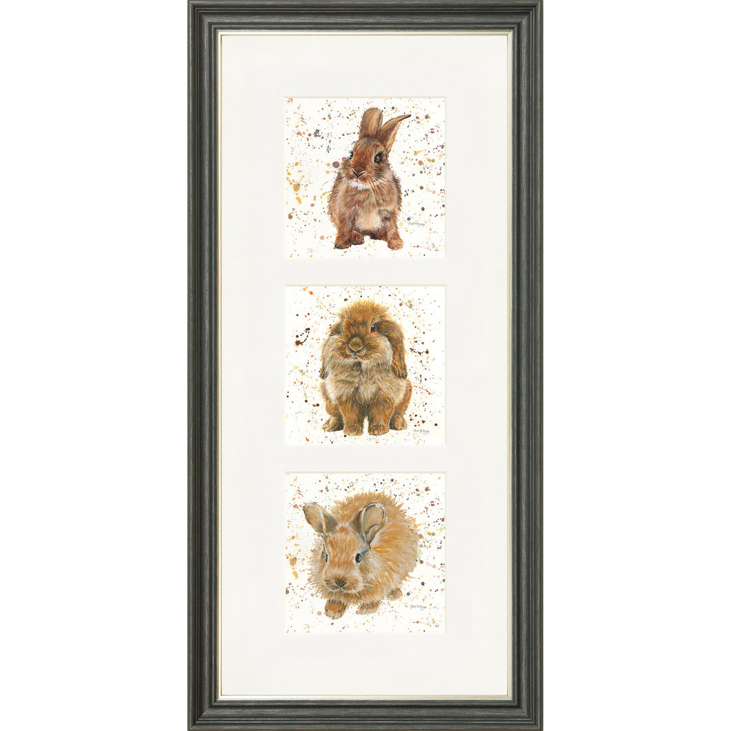 The Bunnies