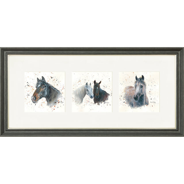 The Equines