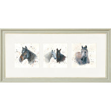 Load image into Gallery viewer, The Equines
