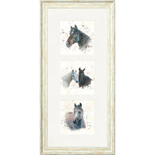Load image into Gallery viewer, The Equines

