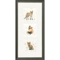 The Foxes