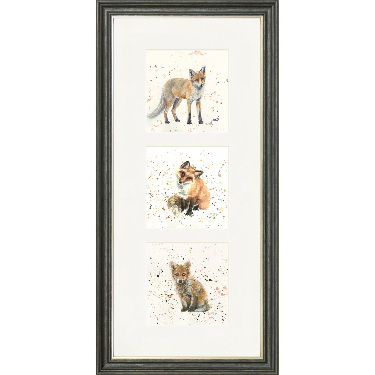 The Foxes