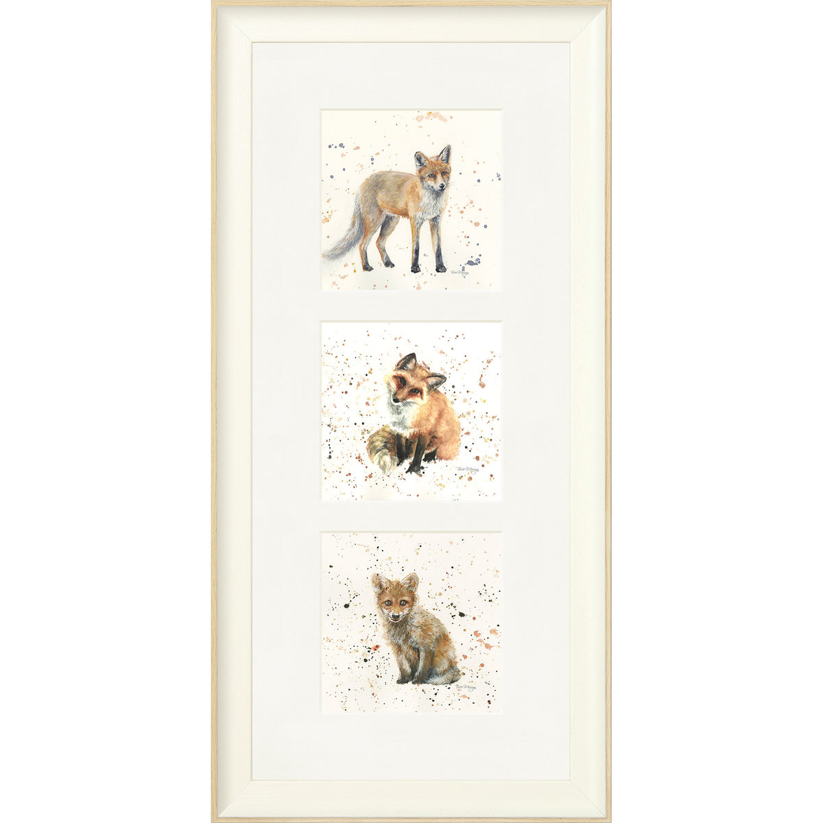 The Foxes