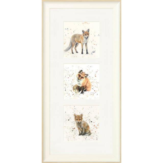 The Foxes