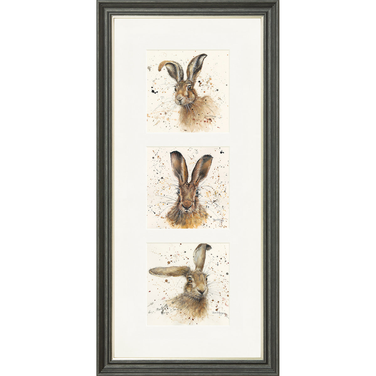The Hares