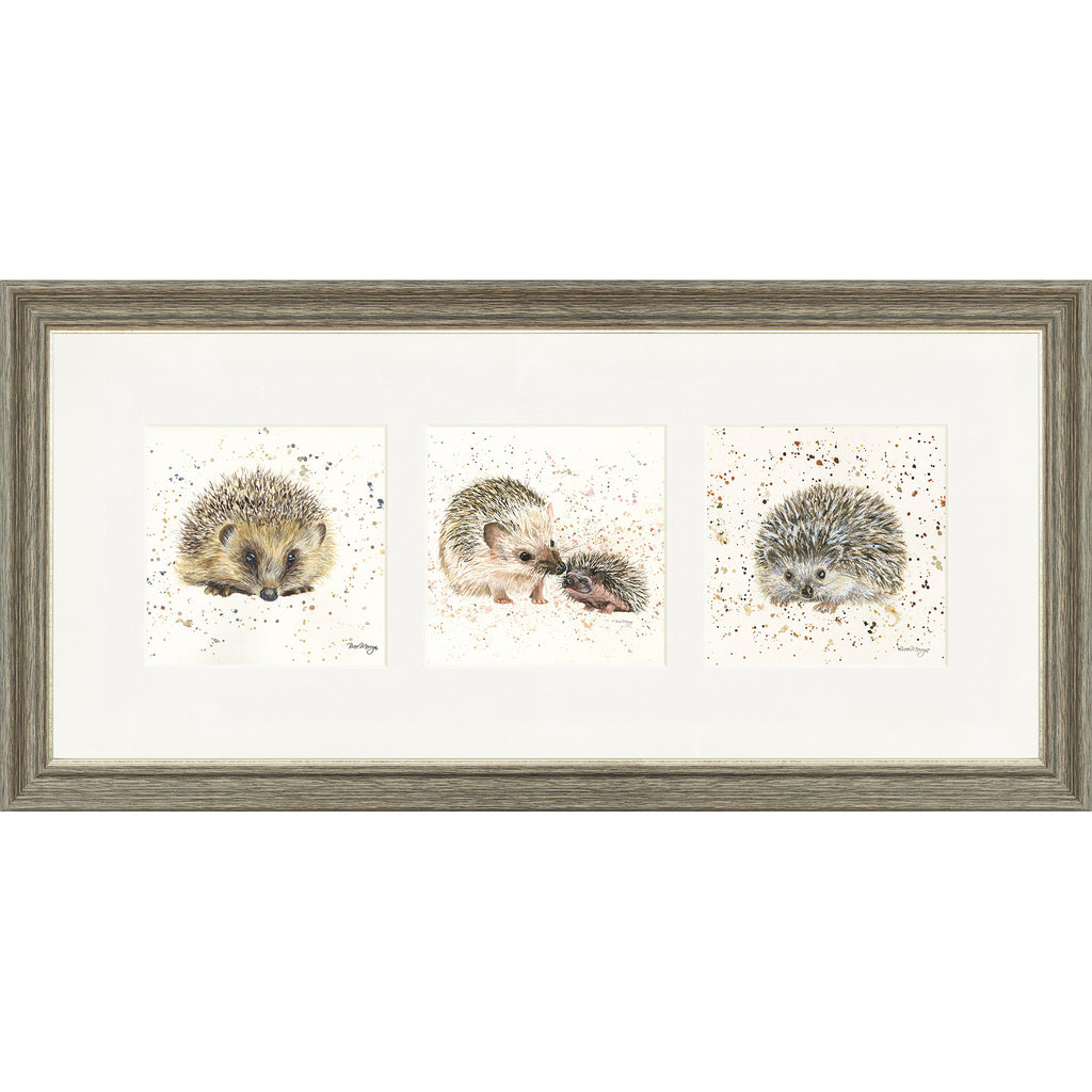 The Hedgies - hedgehog triptych framed print by Bree Merryn
