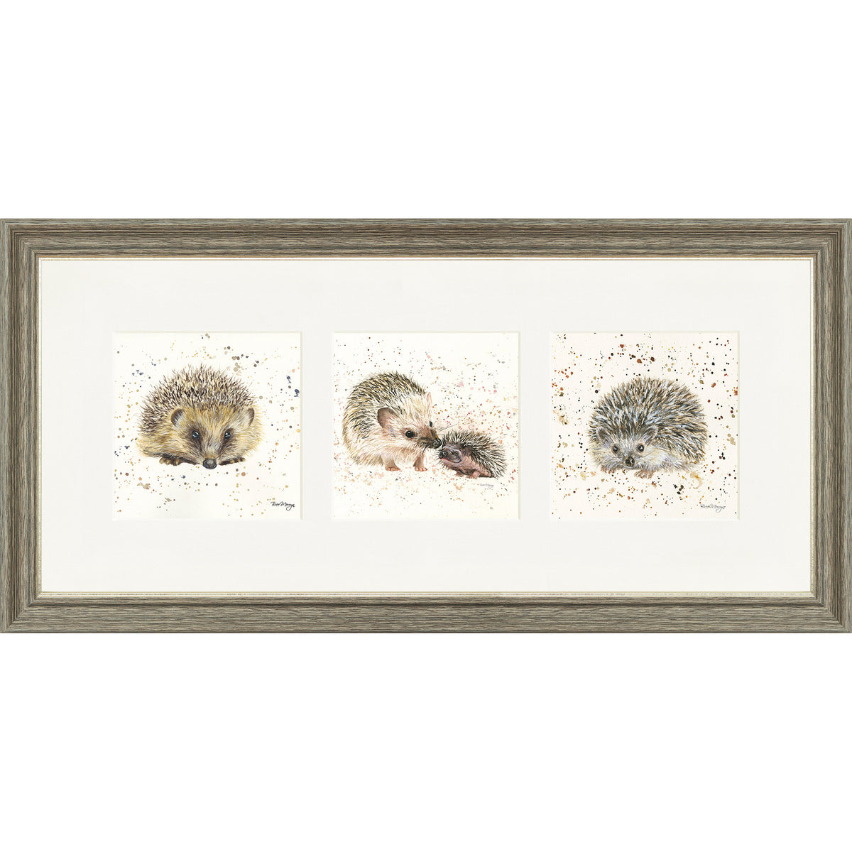 The Hedgies - hedgehog triptych framed print by Bree Merryn