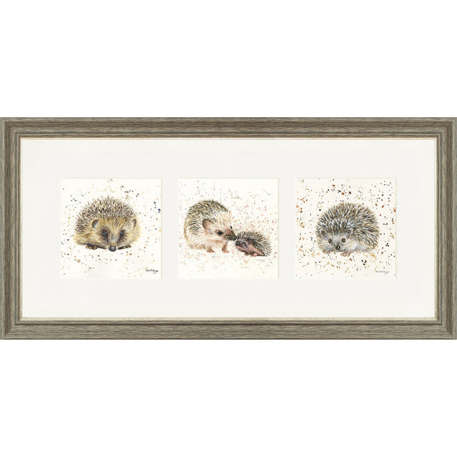 The Hedgies