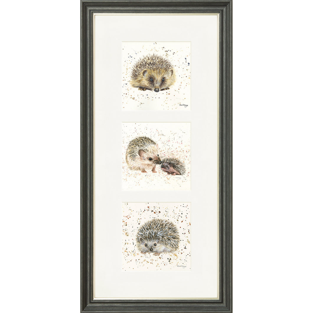 The Hedgies