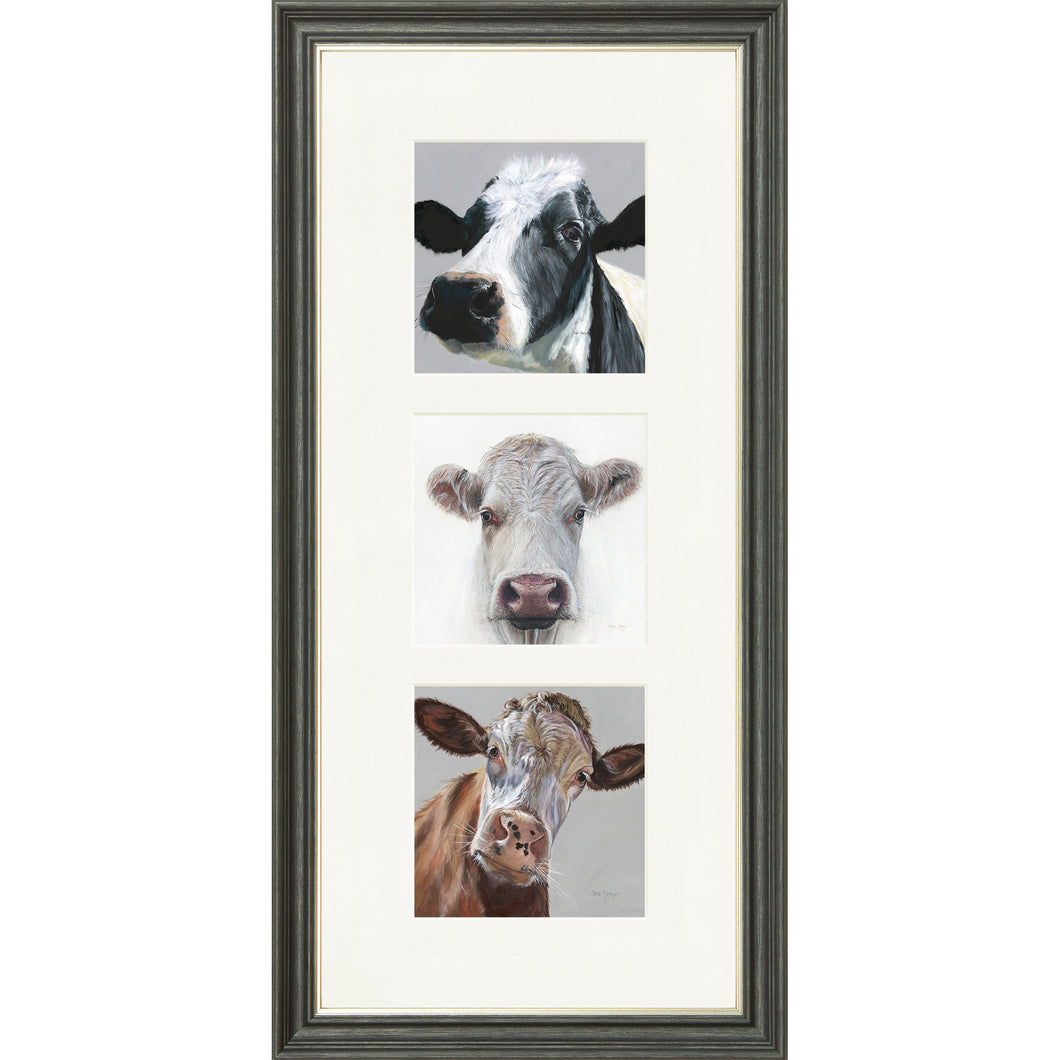 The Herd