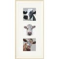 The Herd - cow triptych framed print by Bree Merryn