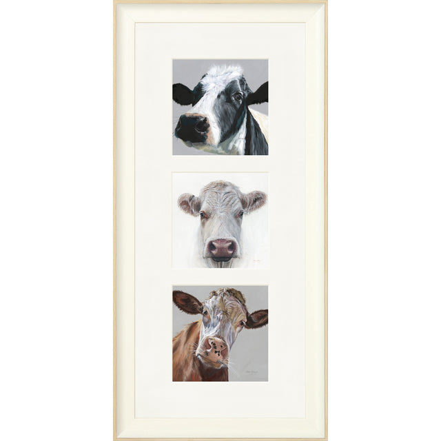 The Herd