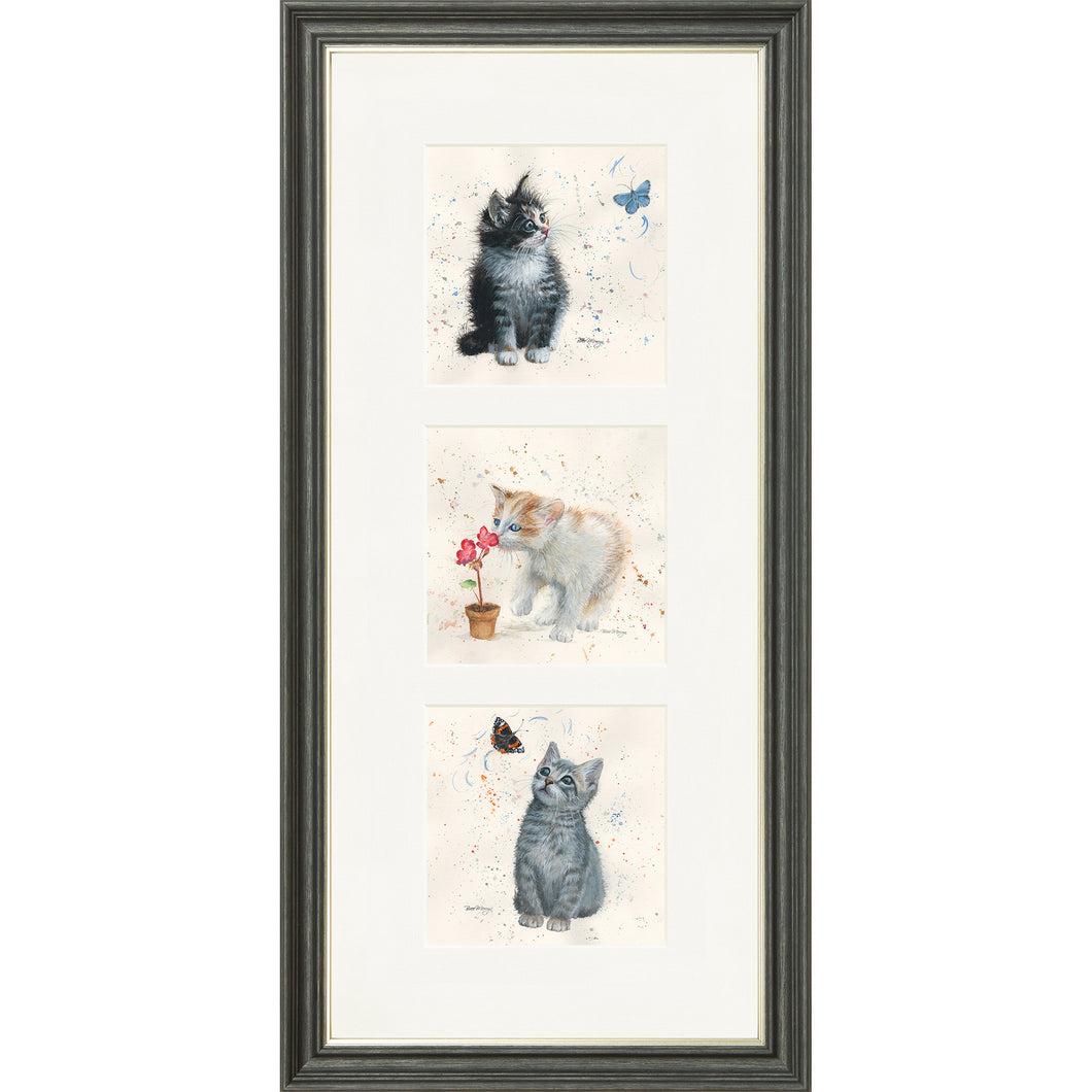 The Kittens
