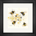 The Pollinators