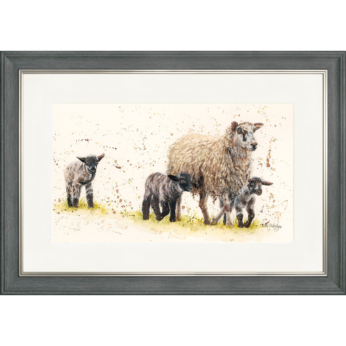 Behind Ewe