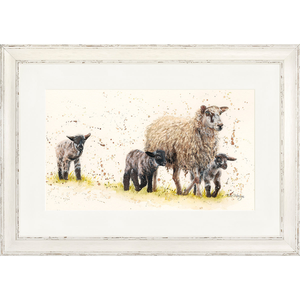 Behind Ewe