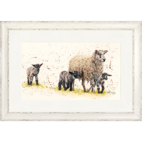 Behind Ewe