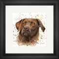 Cooper
