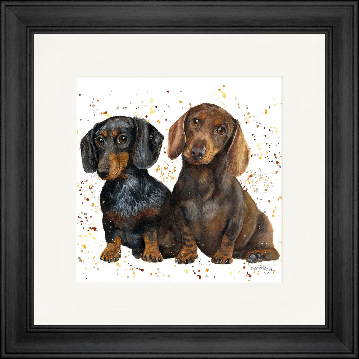 Slinky and Scooter