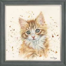 Load image into Gallery viewer, Nutmeg
