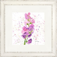 Load image into Gallery viewer, Sweet Peas
