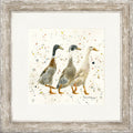 The Three Duckgrees