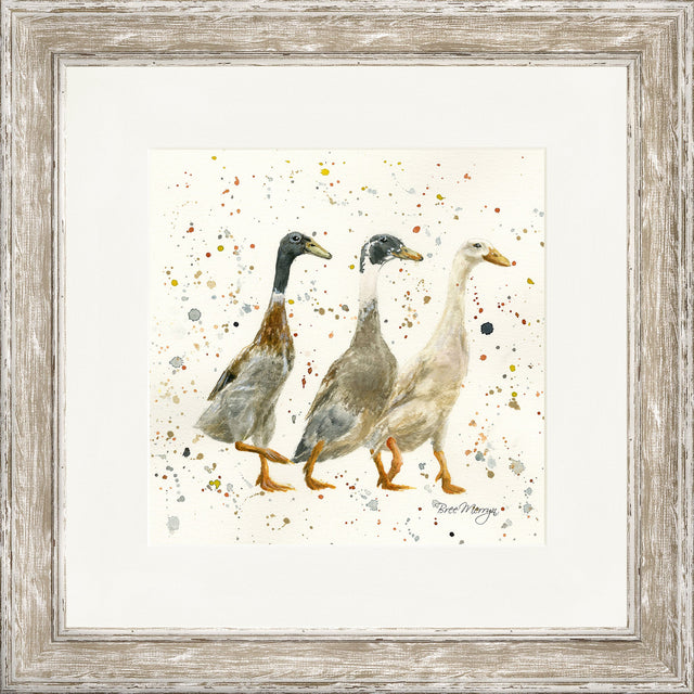 The Three Duckgrees