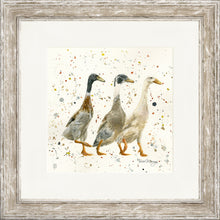 Load image into Gallery viewer, The Three Duckgrees
