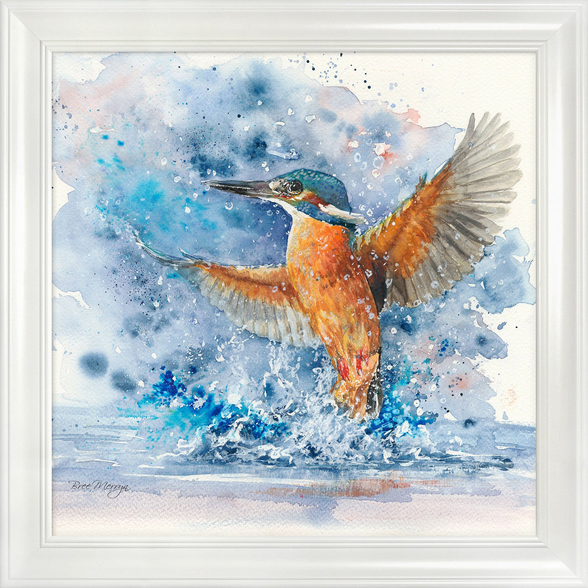 Colourful Kingfisher