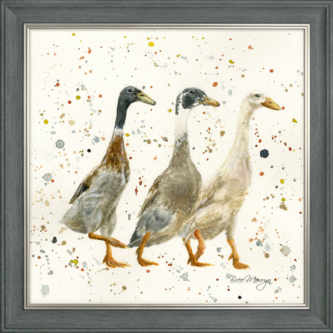 The Three Duckgrees