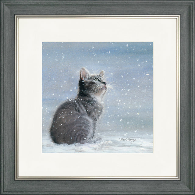 Kiki