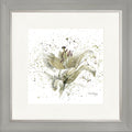 Grey Lily