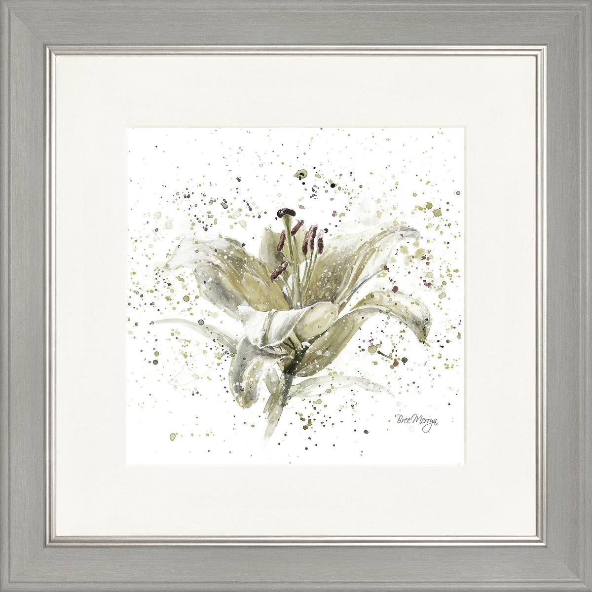 Grey Lily