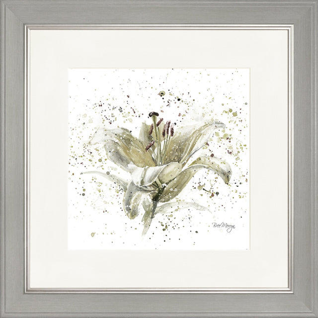 Grey Lily