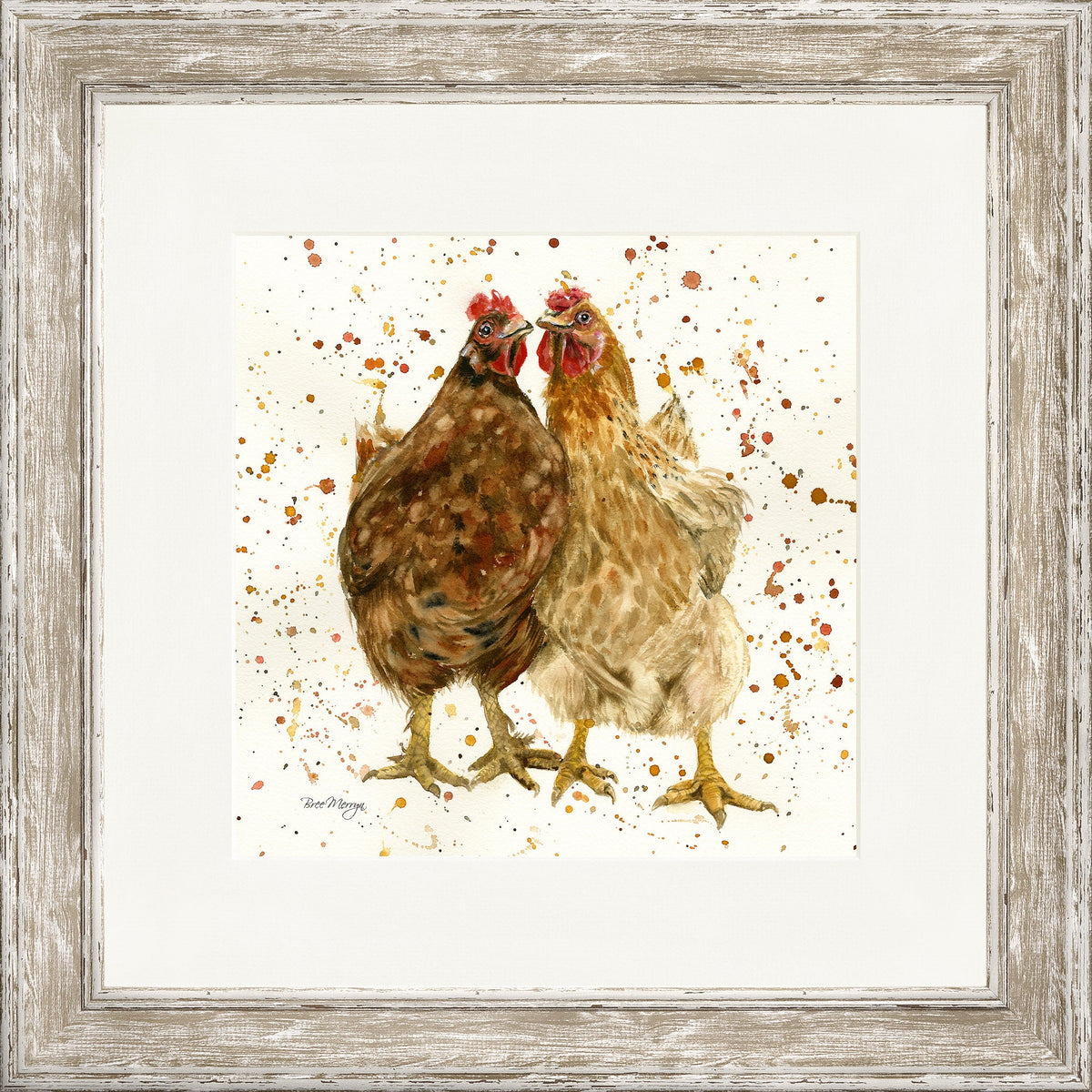 Chick Chat