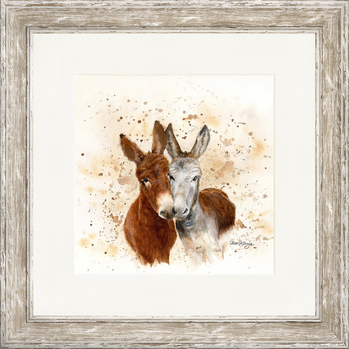 Colourful Jack and Diane