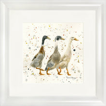 Load image into Gallery viewer, The Three Duckgrees
