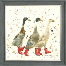 Load image into Gallery viewer, The Three Duckgrees in Boots
