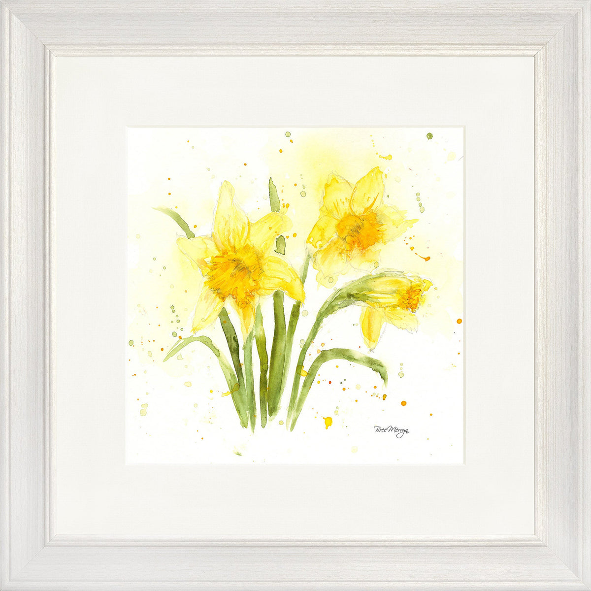 Daffodils