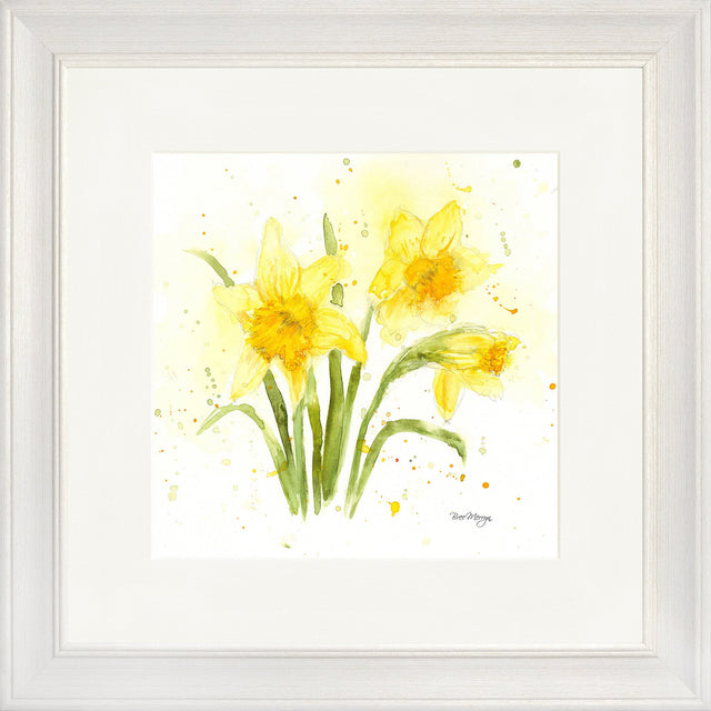 Daffodils