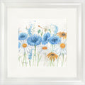 Scabious and Daisies