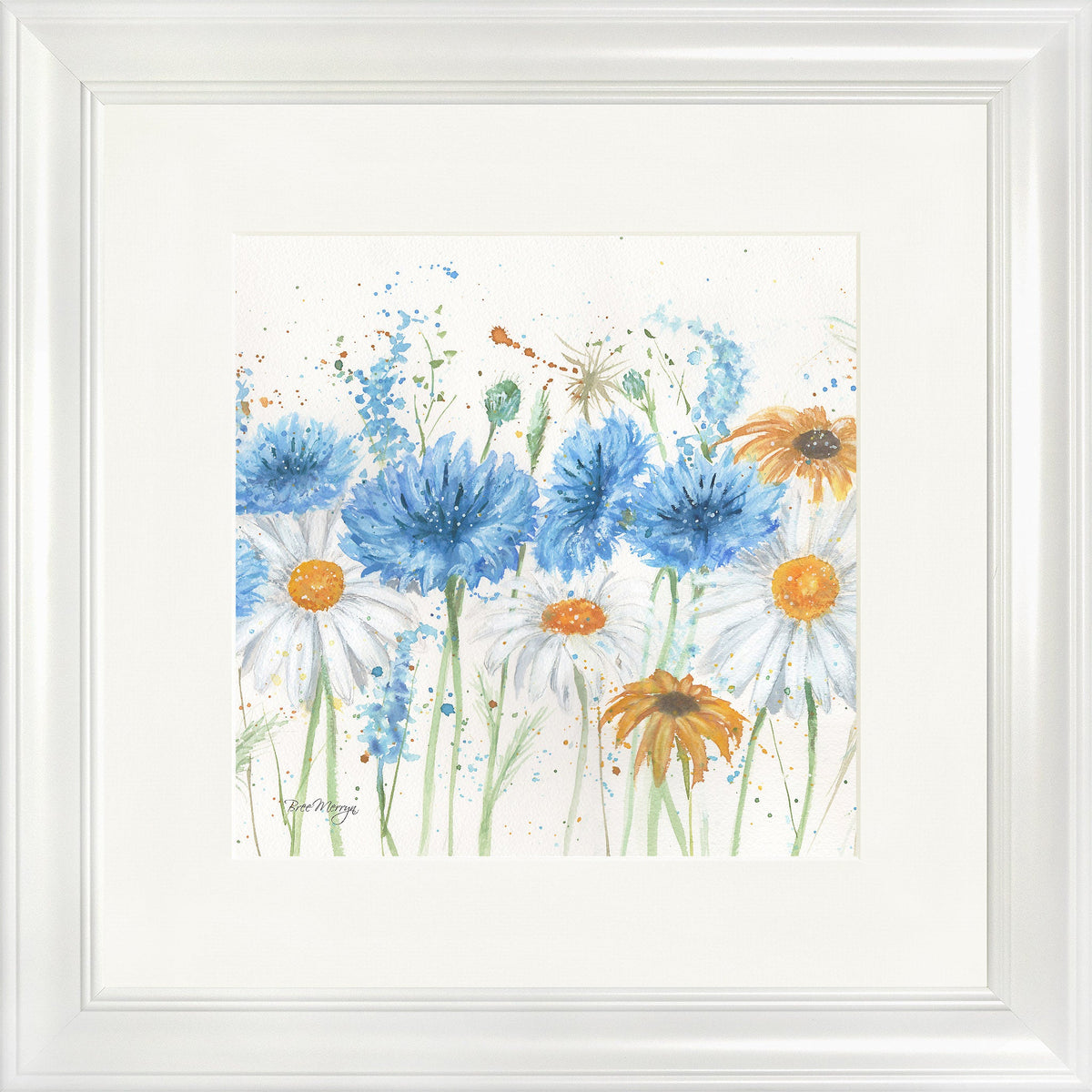 Scabious and Daisies