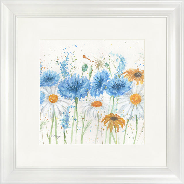 Scabious and Daisies
