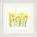 Spring Blooms