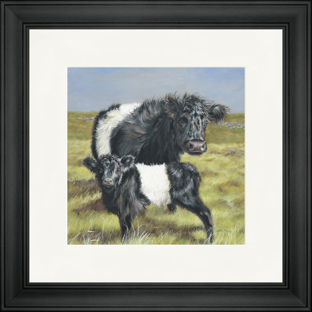 Belties