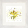 Lemon Lily